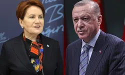 Akşener Erdoğan ile görüşecek