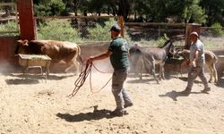 Kurban yakalama timleri hazır!