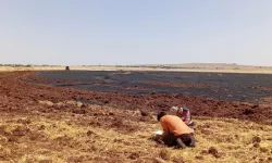 Diyarbakır’da bir yangın daha