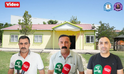 Yeniköy mahallesi'nde fare sorunu: Muhtar Mehmet Özkaplan yetkililerden destek bekliyor