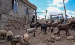 Depremzedeler, yangın mağdurlarına yardım etti