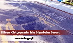 Diyarbakır Barosu'ndan Kürtçe yazıların silinmesiyle ilgili suç duyurusu