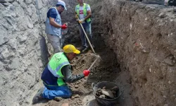 Amida Höyük kazılarında Artuklu Sarayı'nın kalıntıları ortaya çıktı