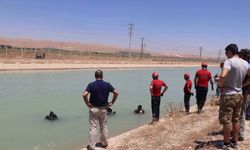 Şanlıurfa Valisi Hasan Şıldak’tan duyuru