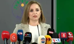 DEM Parti’den komisyon raporu için uygulama çağrısı