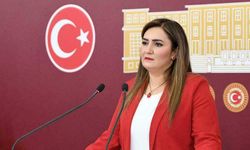 CHP'li Sevda Erdan Kılıç'tan gençlerde artan şiddet için meclis araştırması talebi!