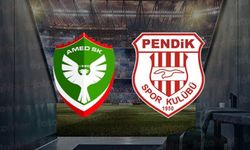 Amedspor’un stadyum sorunu: Pendikspor maçı Iğdır’da!