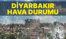 16 Kasım Diyarbakır için hava durumu