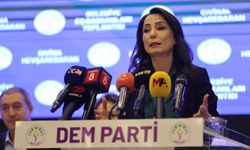 DEM Parti'den Ulusal birlik ve barış mesajı