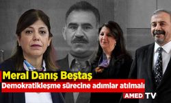 Meral Danış Beştaş: Demokratikleşme sürecine adımlar atılmalı