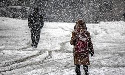 Bahçesaray'da okullar tatil don ve buzlanma nedeniyle