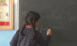 Milli Eğitim Bakanlığı Kürtçeye 6 kontenjan ayırdı, tepkiler yükseldi