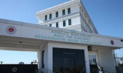 Baba ile oğlu yanmış halde bulundu