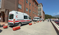 Kene Isırığı 1 buçuk yaşındaki çocuğun canını aldı
