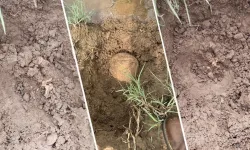 Lice'de bulunan kemiklere yapılan kazı hukuka aykırı!