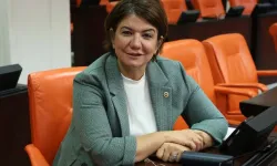 Suna Kepolu: Yeni anayasada Kürtlerin adı geçecek