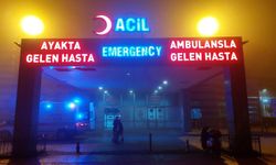 16 genç kız başından vurulmuş halde bulundu!