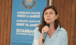 Eşbaşkan Bucak'tan müjde: Diyarbakır dev spor tesisine kavuşuyor