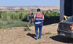 Diyarbakır'da arazi kavgası: 1 ölü, 5 yaralı