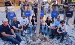 Batman’da ağaç kıyımı polis eşliğinde yeniden başladı