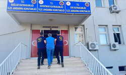 Diyarbakır’da jandarma operasyonlarında 40 kişi tutuklandı