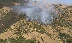 Hakkari'de orman yangınına müdahale sürüyor