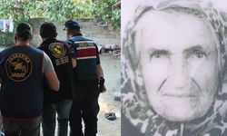 İçkisine laf ettiği için babaannesinin başına tüple vurarak öldürdü