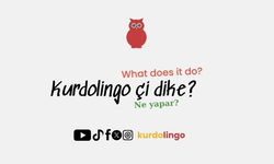Kürtçe eğitiminde yeni bir adım: "Kurdolingo" yayında
