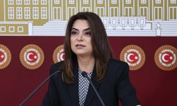 Şırnak’ta doğa talanına karşı yapılacak eyleme çağrı