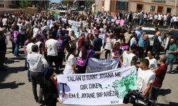 Şırnak’ta ekolojik yıkıma karşı kitlesel direniş
