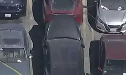 Ünlü şarkıcının aracının bagajında 15 yaşındaki kızın cesedi bulundu