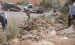 Van’da 334 koyun telef oldu