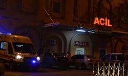 Mardin’de berivan’ın ölümü yürekleri yaktı