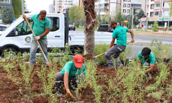 Diyarbakır’da modern dönüşüm başladı