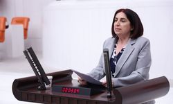 Çelenk Meclis'te Diyarbakır'ı anlattı: Kayyım politikaları kenti çökertti