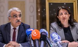 DEM Parti: Silah bırakan örgüt için özel yasa çıkarılmalı