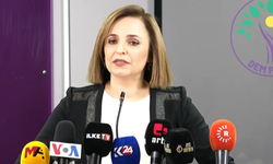 DEM Parti’den İmralı açıklaması: Komisyon neden bekliyor?