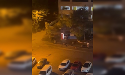 Diyarbakır’da hastane büfesine taşlı saldırı