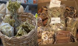 Diyarbakır’da kış kendini gösterdi; ıhlamur 3 bin liraya çıktı