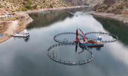 Diyarbakır’da “Mezopotamya Somonu” dünyaya açılıyor