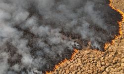 Koruma altındaki sazlıkta 4 günlük yangın söndürüldü