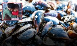 Midye yedikten sonra fenalaştılar: İki kardeş öldü