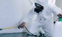 Ruhsatsız haşere ilaçlama firmaları vatandaşları tehlikeye atıyor