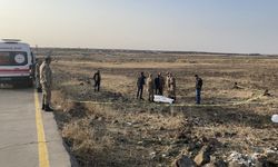 Şanlıurfa’da yol kenarında bulunan cesedin kimliği tespit edildi