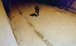 Adana'da seri cam kırma vakası: Bir haftadır yapıyor