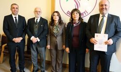 DEM Parti 99 sayfalık komisyon raporunu TBMM’ye sundu