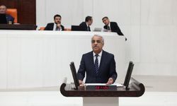 DEM Parti’den demokratik barış vurgusu