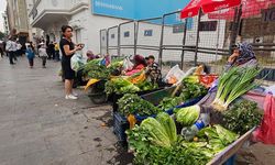 Diyarbakır’da Hevsel’in bereketi, kadınların alın teriyle hayat buluyor