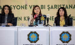 Diyarbakır’da kadın odaklı yerel yönetim için yeni yol haritası