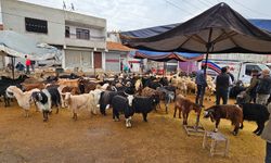 Diyarbakır’da kurban kesim yerleri yeniden canlandı